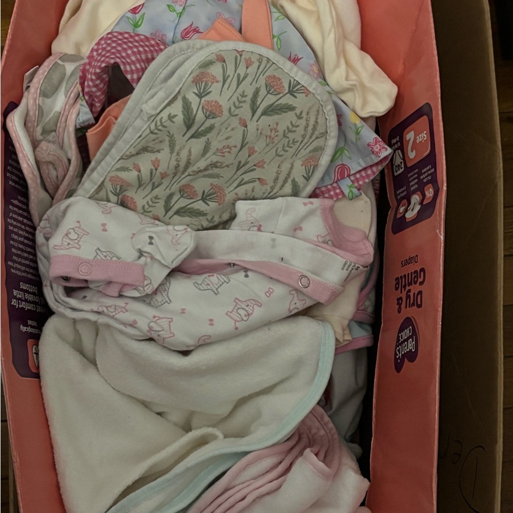 Baby Girl Clothing Bundle